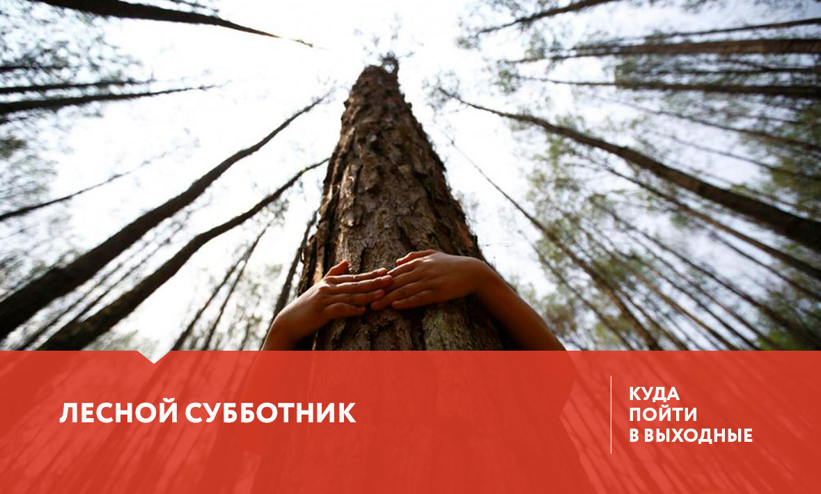 Куда сходить в Тюмени 8-10 сентября? 