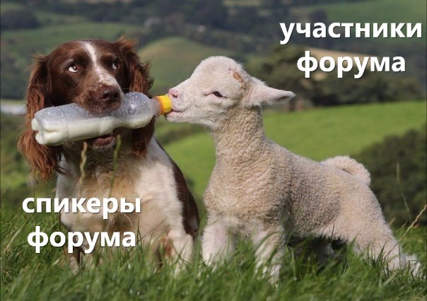 Тюменцы представили лучший «Контент будущего» на форуме «Мёд»