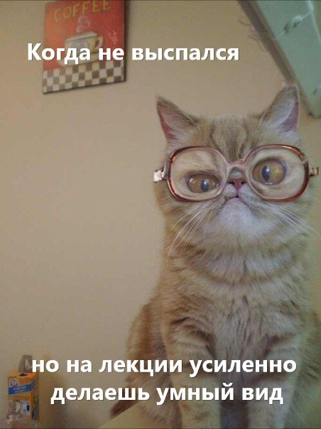 Лучший «Контент будущего» выбрали на форуме «Мёд»