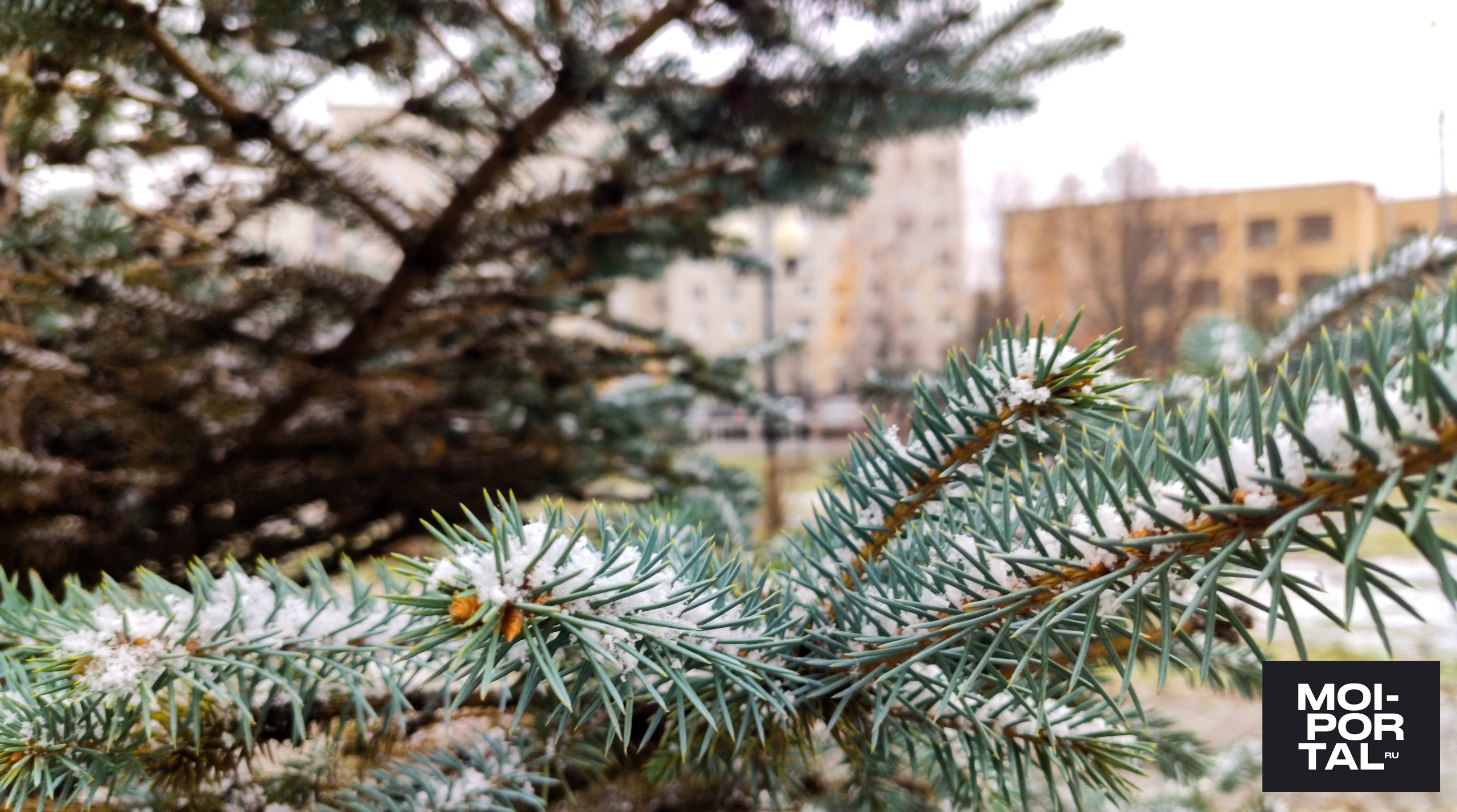 Зима близко: тюменцы делятся фотографиями снегопада Зима близко: тюменцы делятся фотографиями снегопада