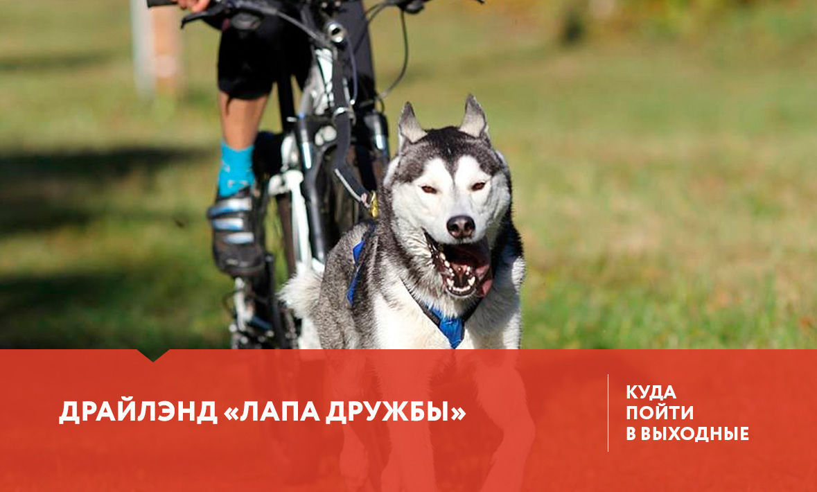 Куда сходить в Тюмени 1-3 сентября?