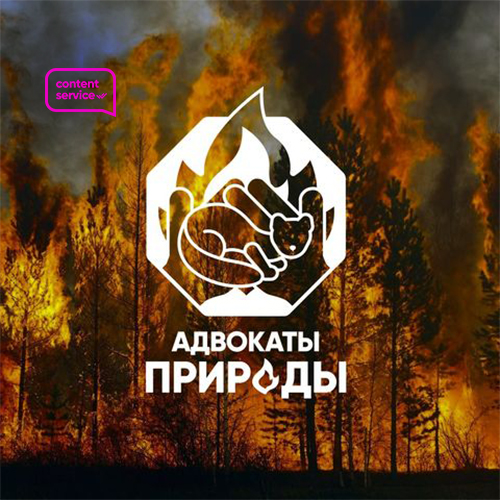 Digital-агентство «Content Service»