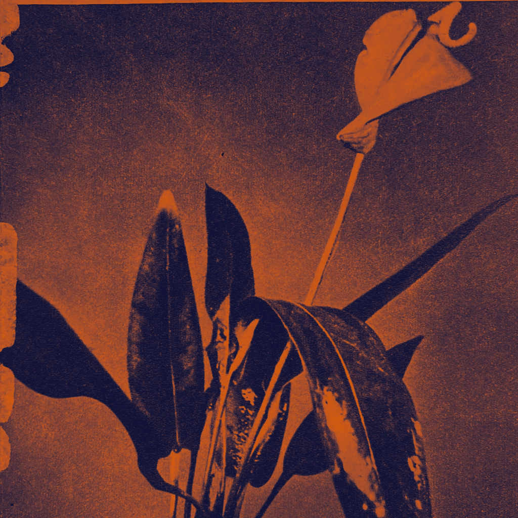 обложка для новости.jpg