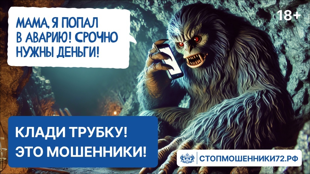 В Тюменской области запустили онлайн-проект против мошенничества 