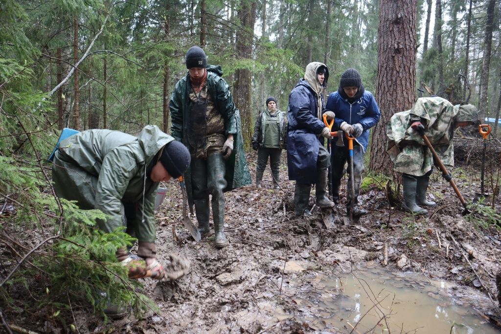 IMG_2807 (1) (1).jpg