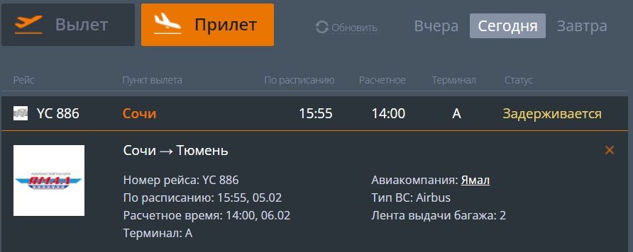 Из-за непогоды задерживается прилет нескольких авиарейсов в Тюмень