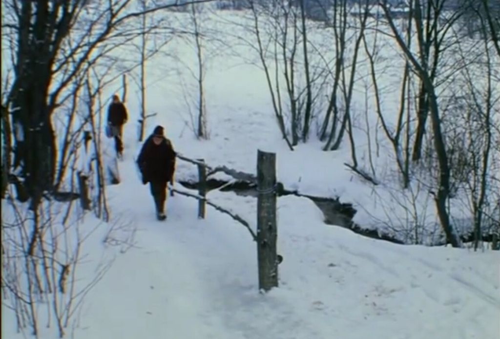 «Сценарий этого фильма написала сама жизнь»: Светлана Музыченко о карьере и создании документального кино