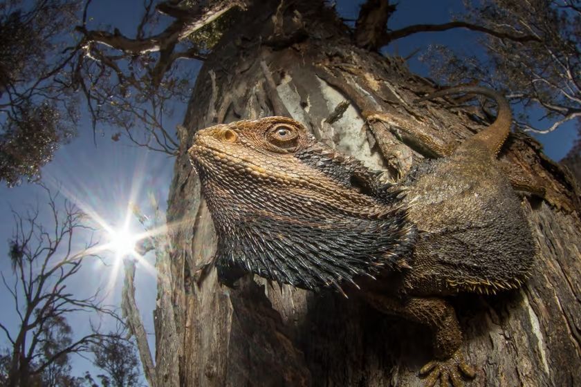 загрузка-_1_ (1).jpg