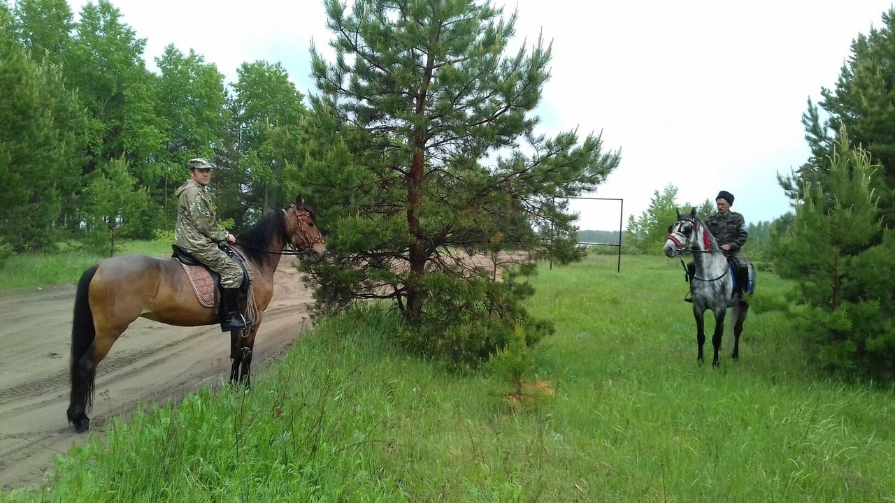 Казак тюменского хуторского казачьего общества стал призером соревнований по верховой езде