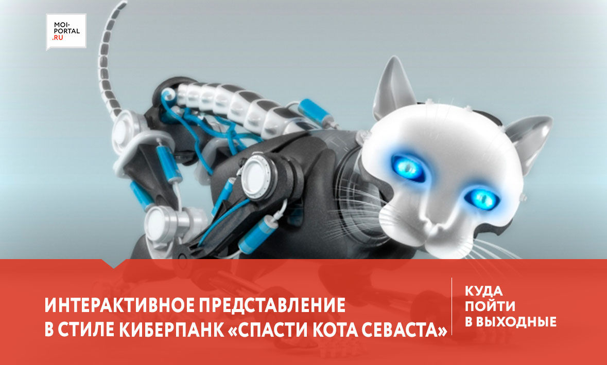 Вечер песен группы «Сектор Газа»