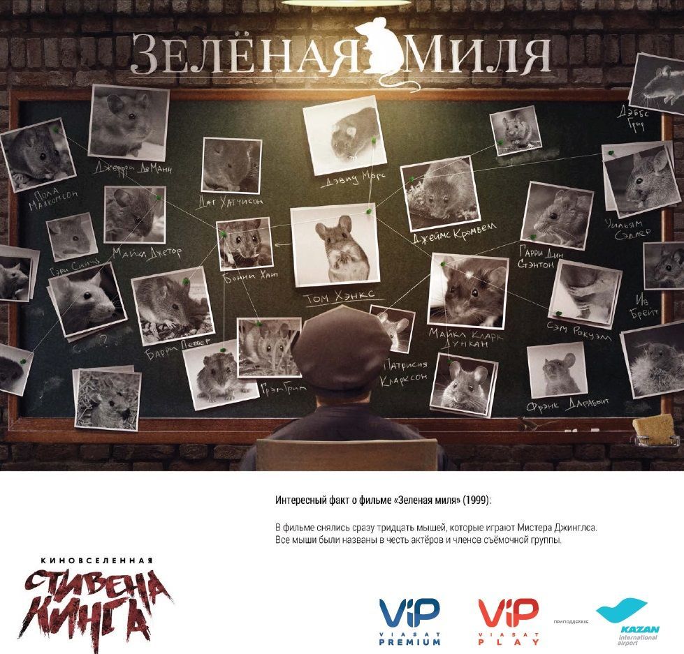 Сюжеты книг Стивена Кинга появились в аэропорту Казани King